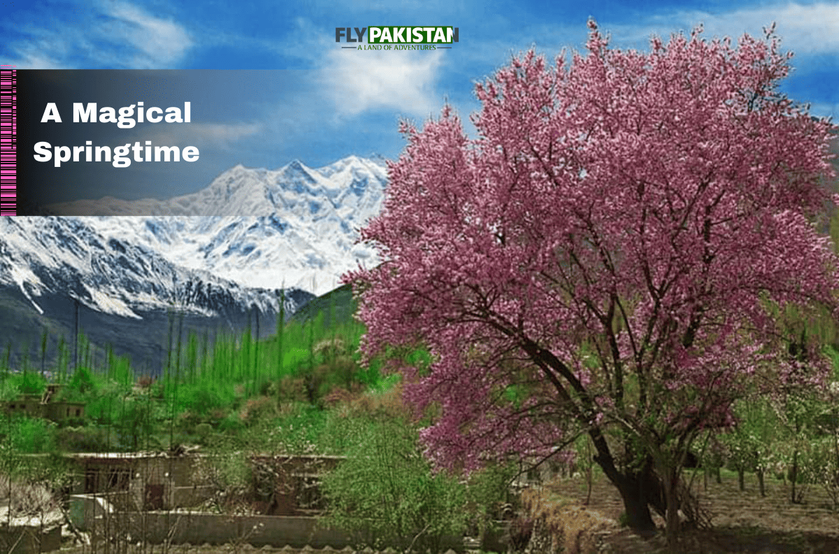 Book Hotels in Pakistan